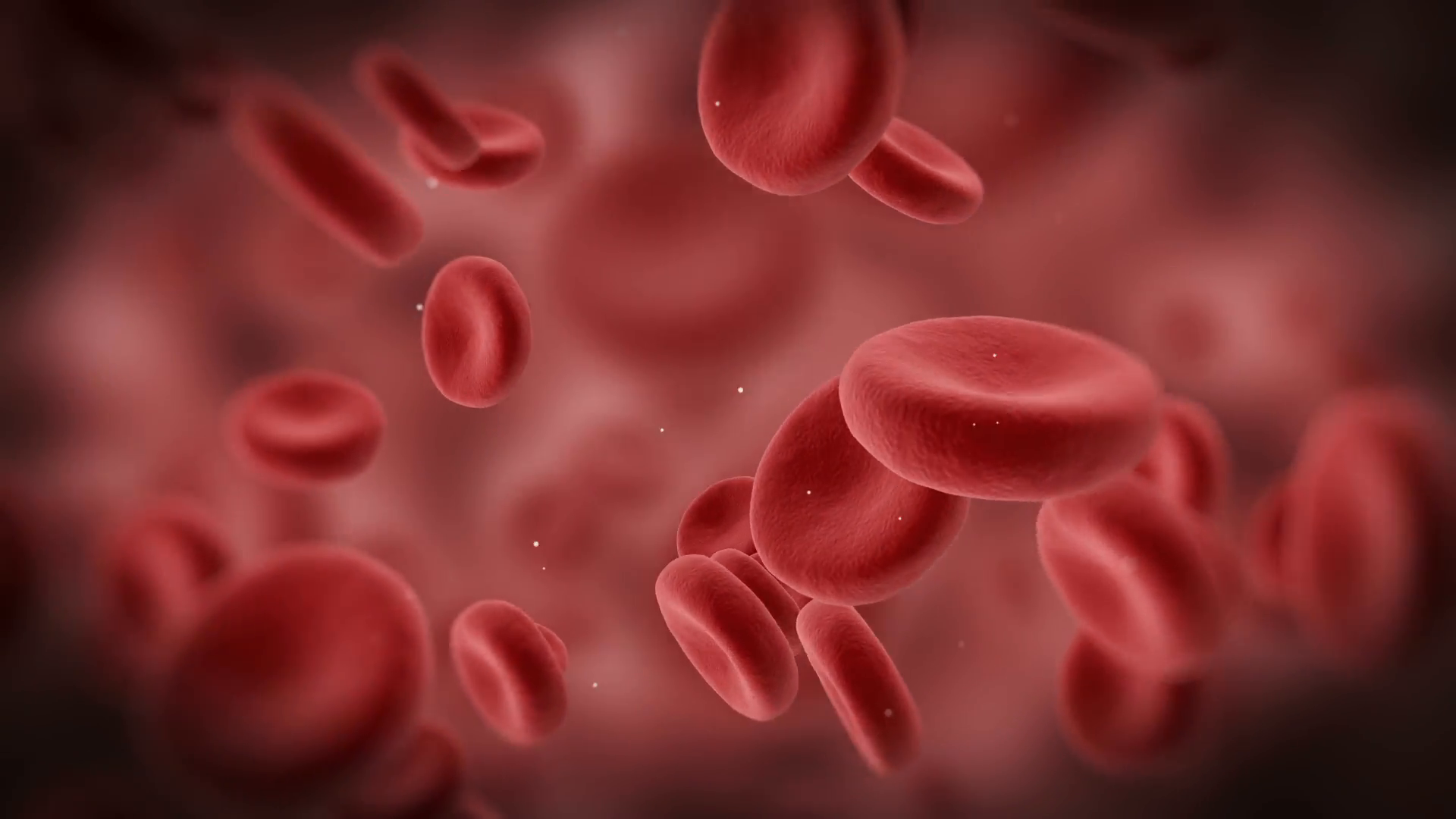 Angiogenesis: A Critical Part of Healing – TB-500.com